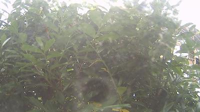 Presseggen Landschafts-Webcam