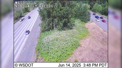 Nisqually Bridge Traffic