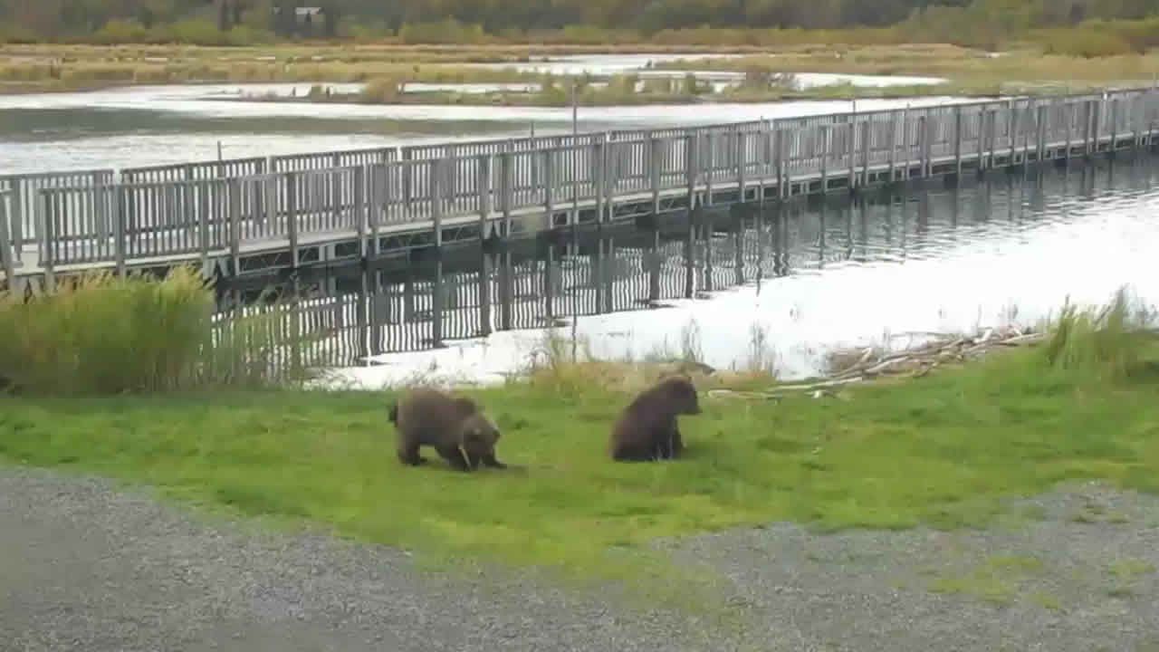 Lake and Peninsula: Lower River - Katmai National Park