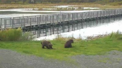 Lake and Peninsula: Lower River - Katmai National Park