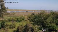 Brancaster Staithe › North: Harbour - Current