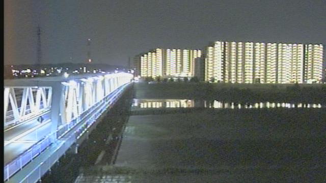 Tama River Hino: Mesmerizing Water Landscapes Webcam