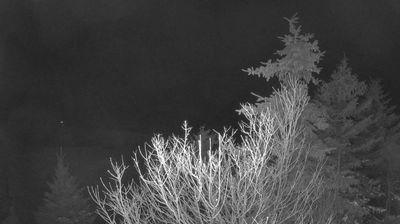 Webcams Around Black Diamond Meteoblue