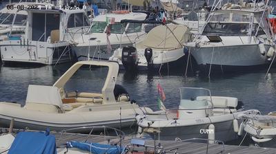 immagine della webcam nei dintorni di Marciana: webcam Marciana Marina