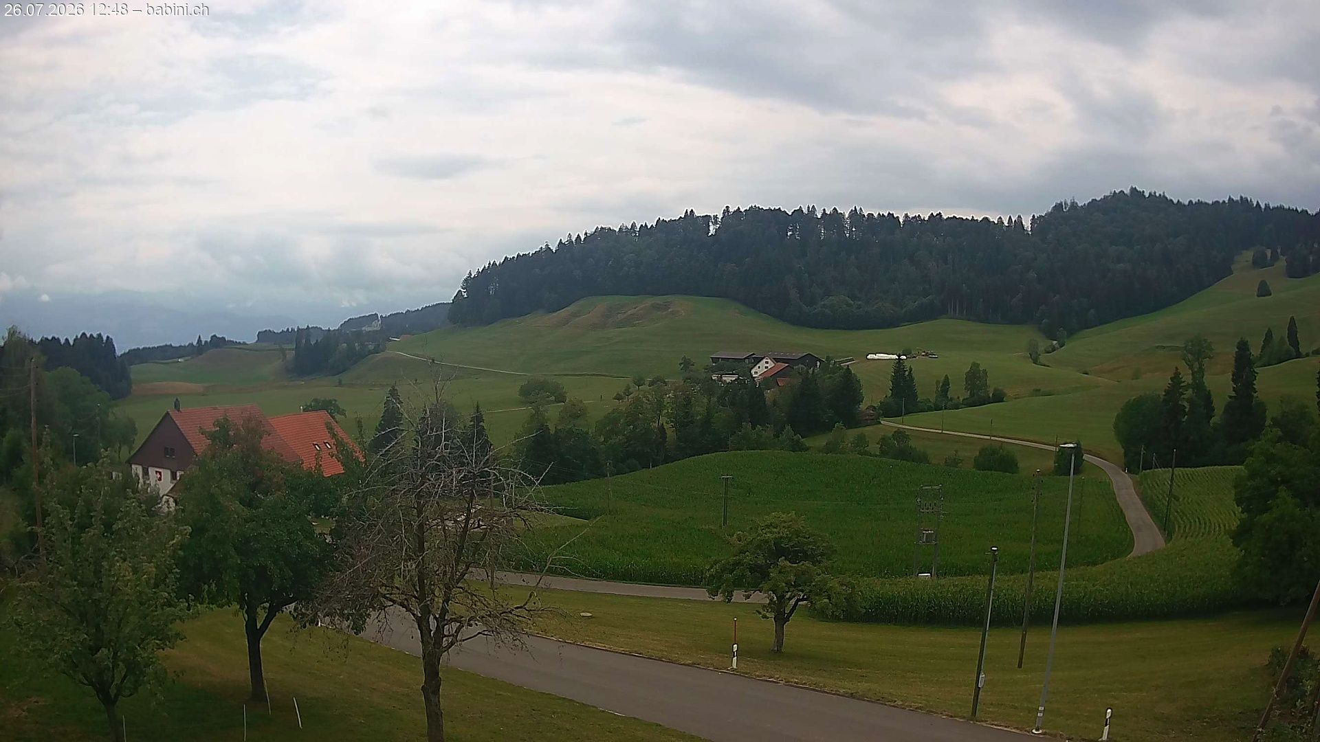 Bäretswil › Süden: Ghochstrasse - Auen - Leestrasse