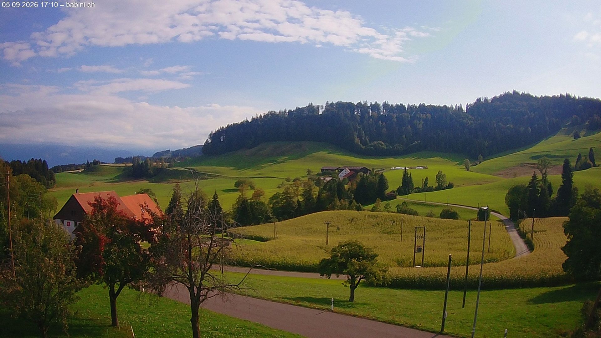 Bäretswil › Süden: Ghochstrasse - Auen - Leestrasse