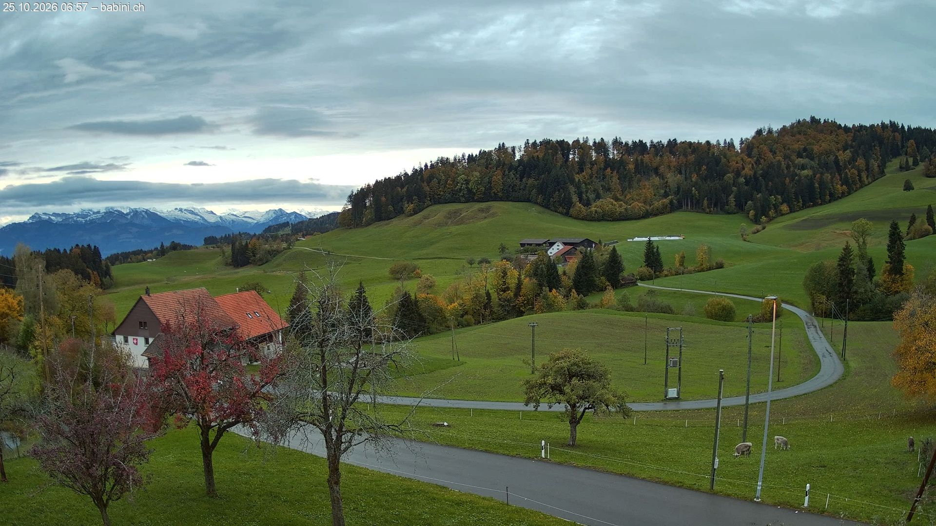 Bäretswil › Süden: Ghochstrasse - Auen - Leestrasse