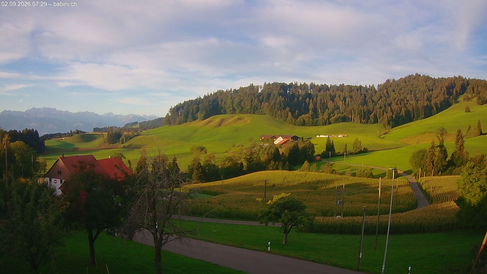 Bäretswil › Süden: Ghochstrasse - Auen - Leestrasse