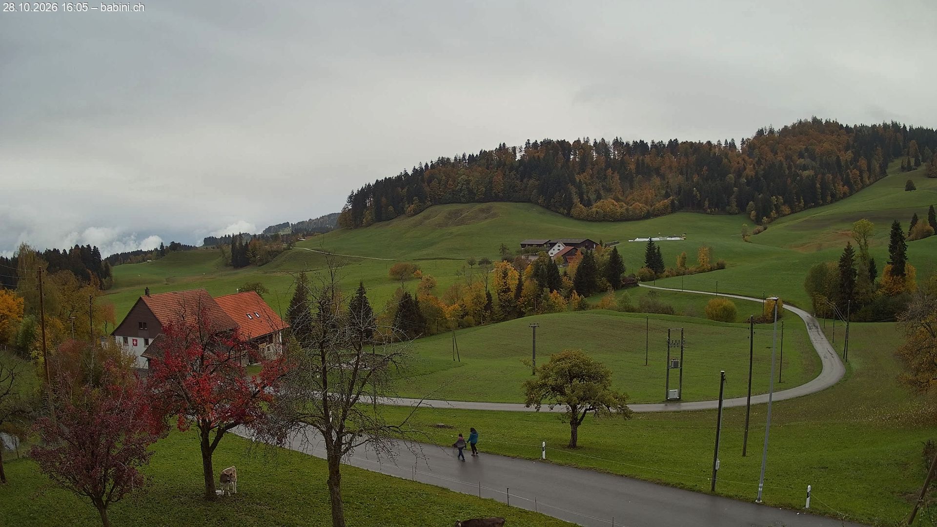 Bäretswil › Süden: Ghochstrasse - Auen - Leestrasse