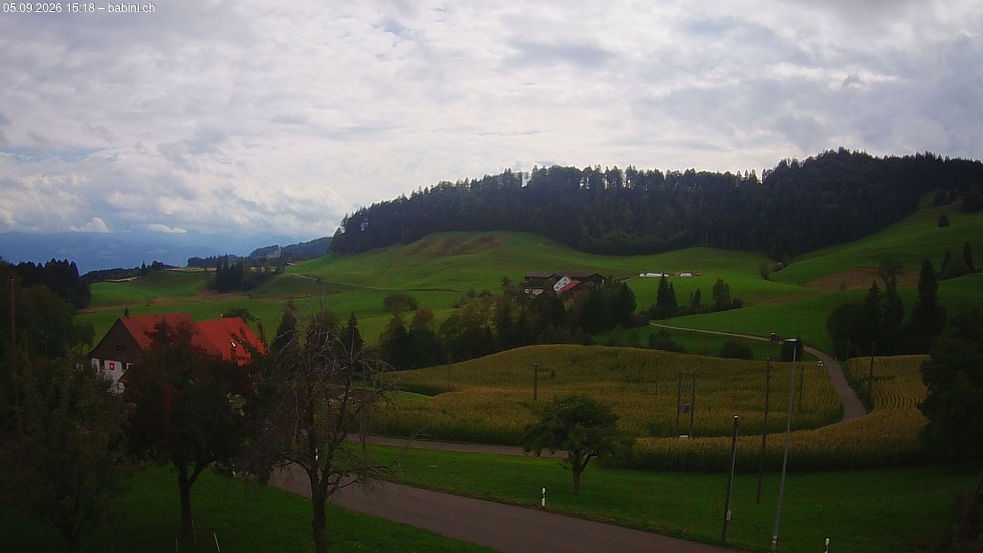 Bäretswil › Süden: Ghochstrasse - Auen - Leestrasse