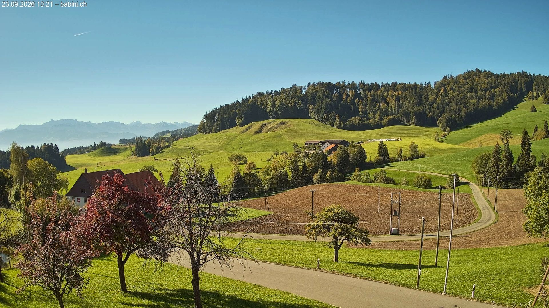 Bäretswil › Süden: Ghochstrasse - Auen - Leestrasse
