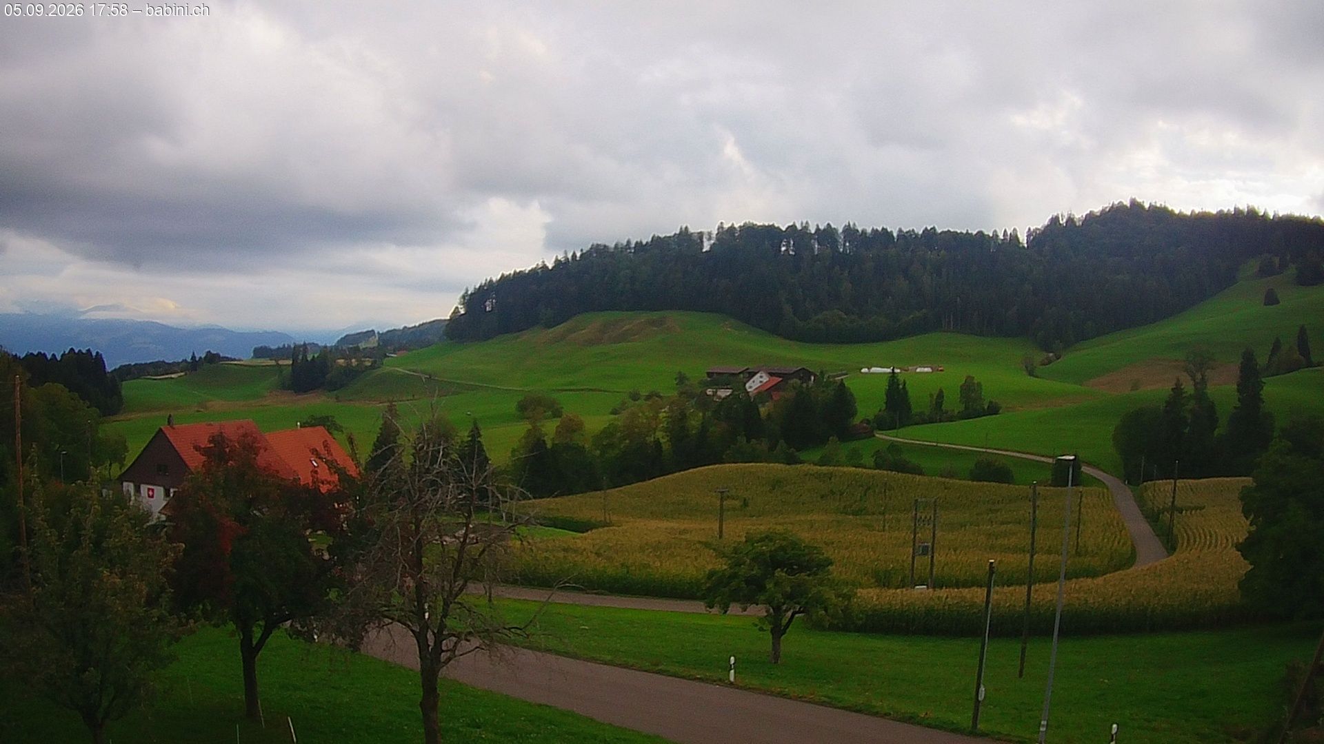 Bäretswil › Süden: Ghochstrasse - Auen - Leestrasse