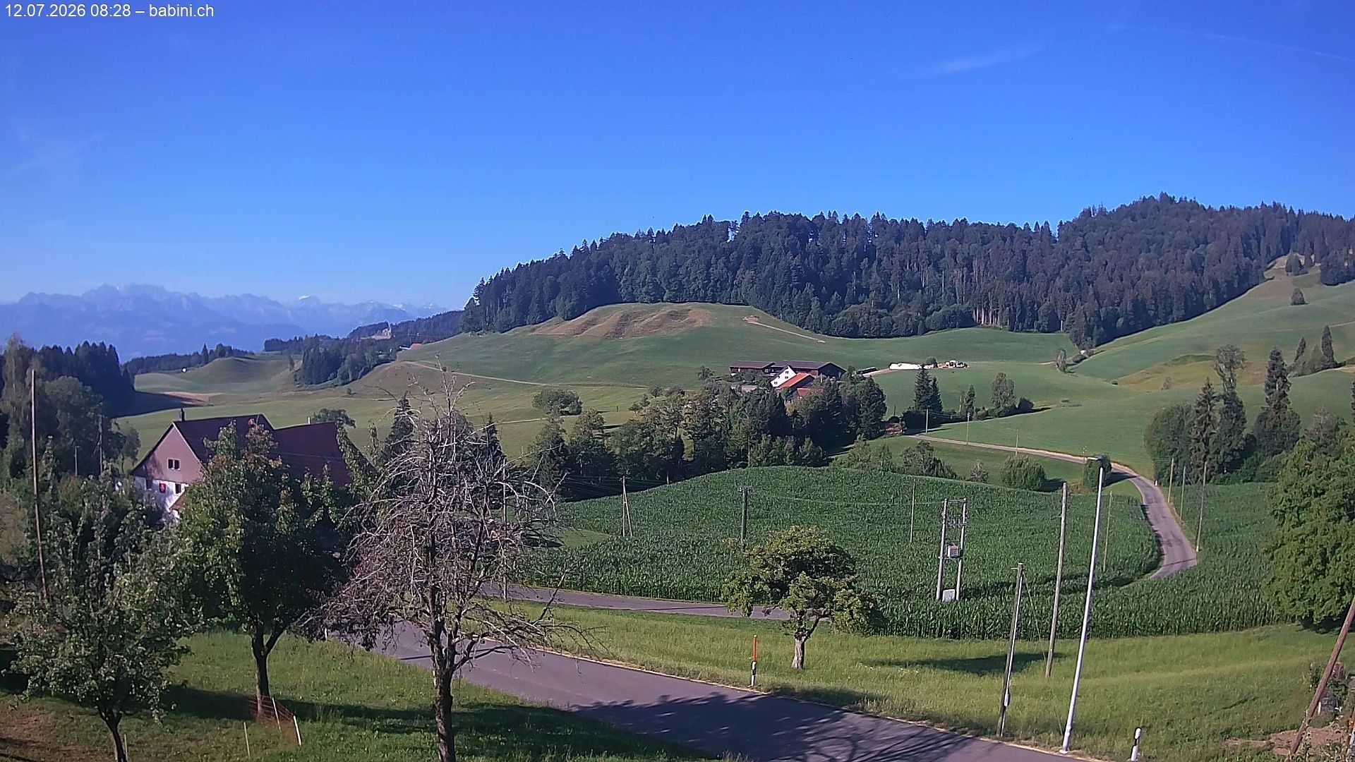 Bäretswil › Süden: Ghochstrasse - Auen - Leestrasse