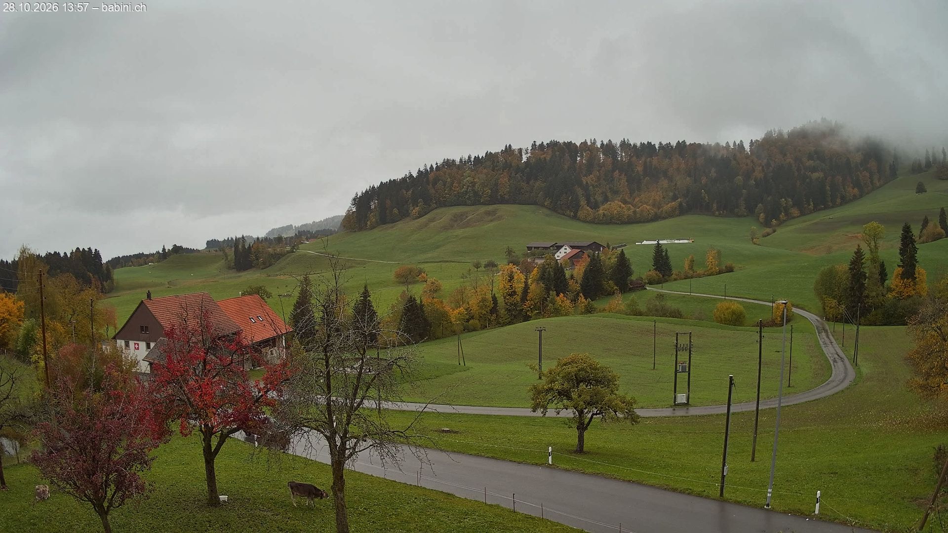 Bäretswil › Süden: Ghochstrasse - Auen - Leestrasse