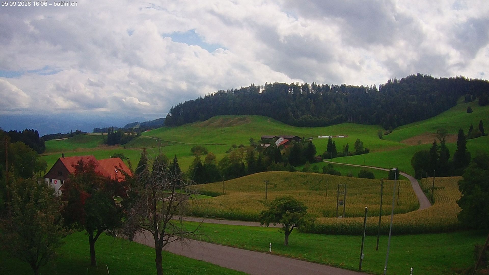 Bäretswil › Süden: Ghochstrasse - Auen - Leestrasse