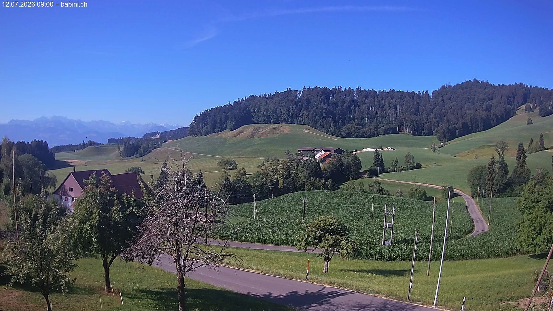 Bäretswil › Süden: Ghochstrasse - Auen - Leestrasse