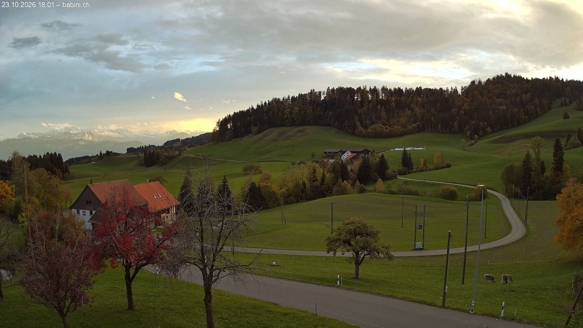 Bäretswil › Süden: Ghochstrasse - Auen - Leestrasse