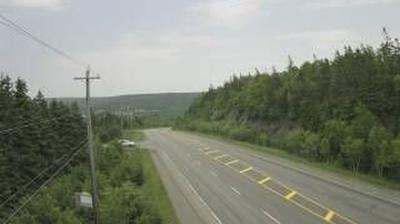 Mount Auburn: Irish Cove Cam