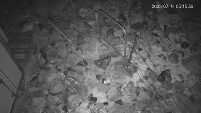 Recent Akaroa Webcam Image