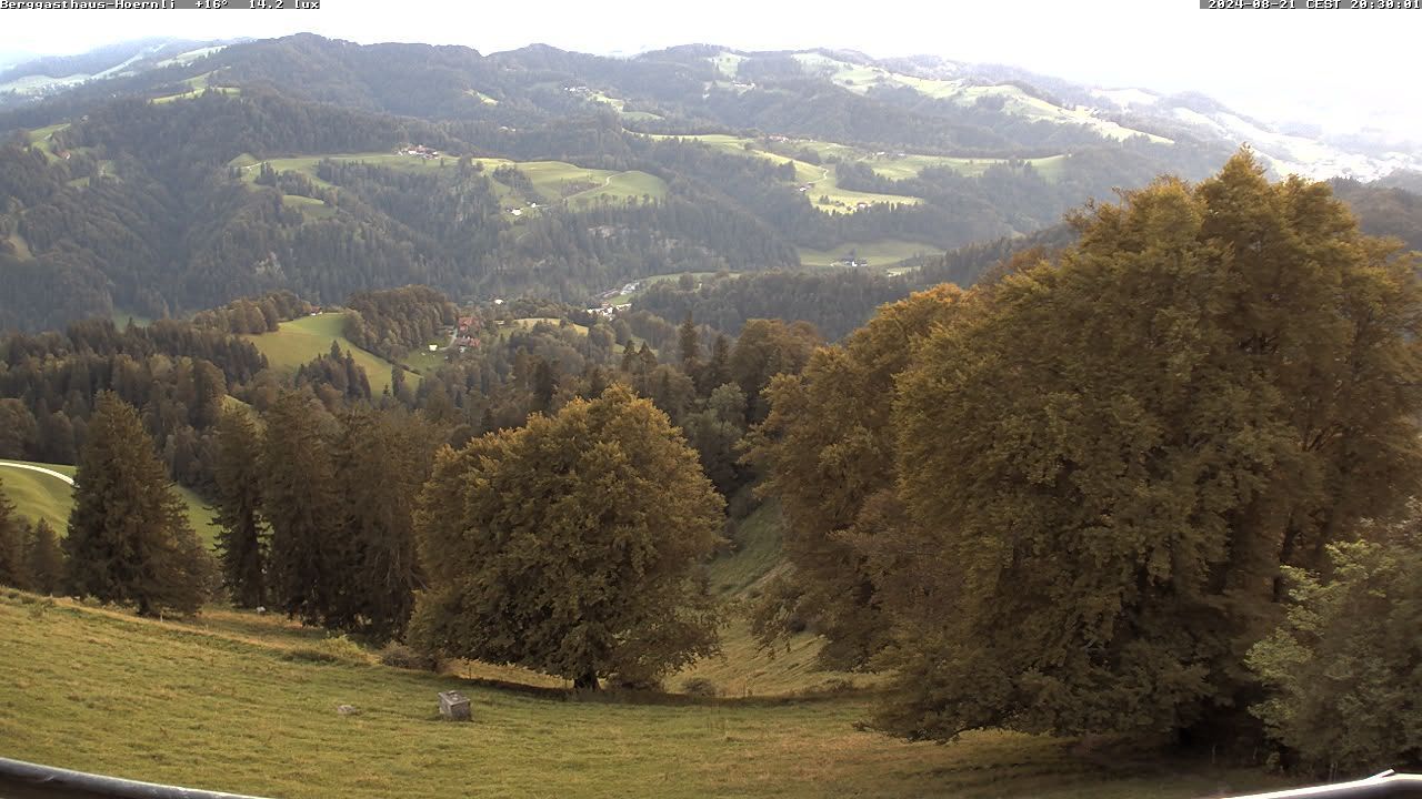 Fischenthal › Südwesten: Hörnli