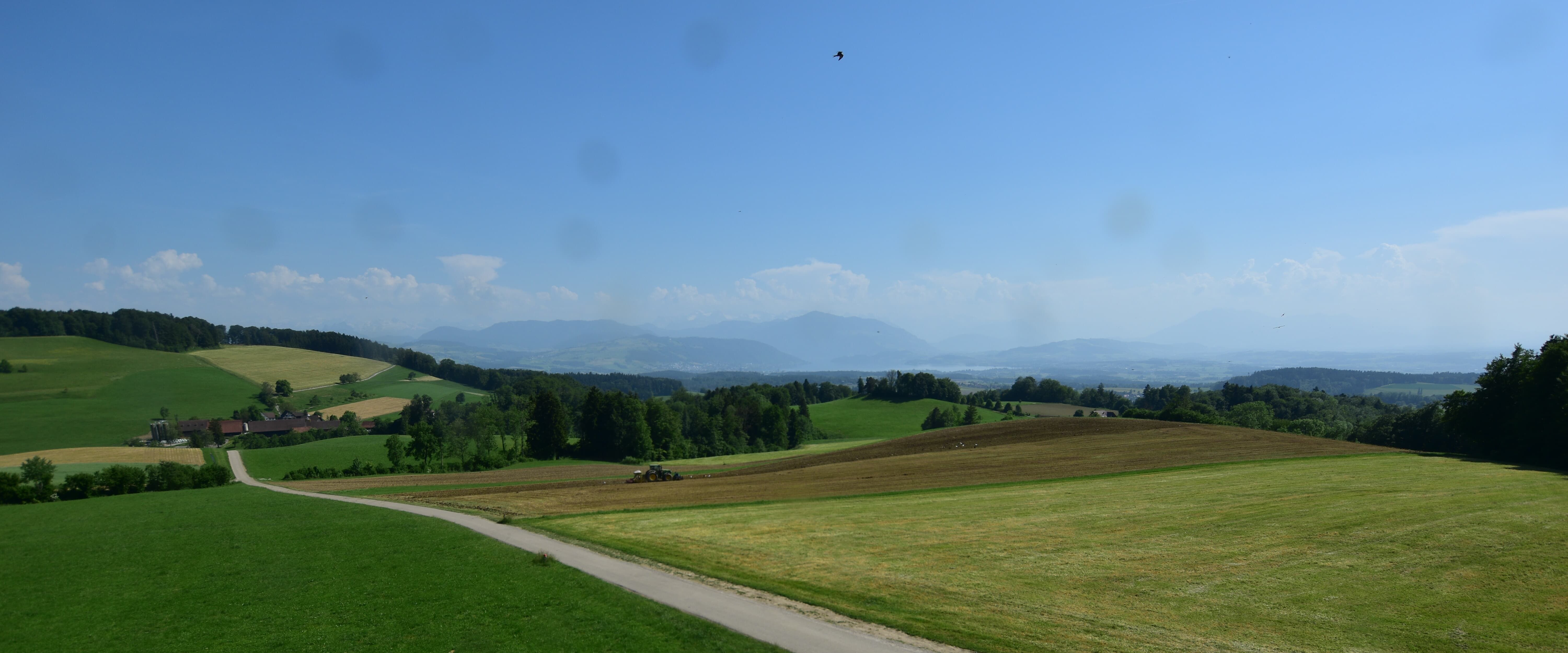 Langnau am Albis › Südwesten: Naturfreundeweg 8 - Rigi - Mount Pilatus - Eiger - Mönch - Jungfrau