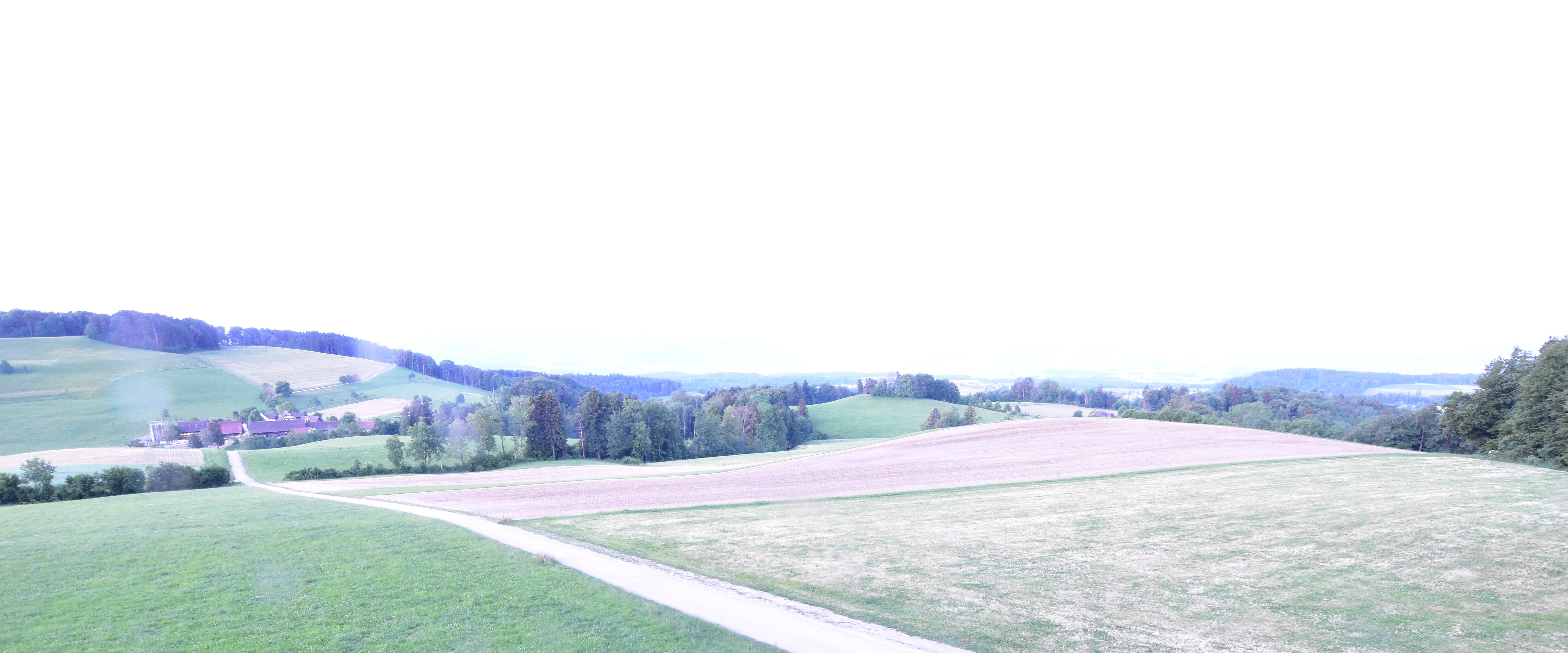 Langnau am Albis › Südwesten: Naturfreundeweg 8 - Rigi - Mount Pilatus - Eiger - Mönch - Jungfrau