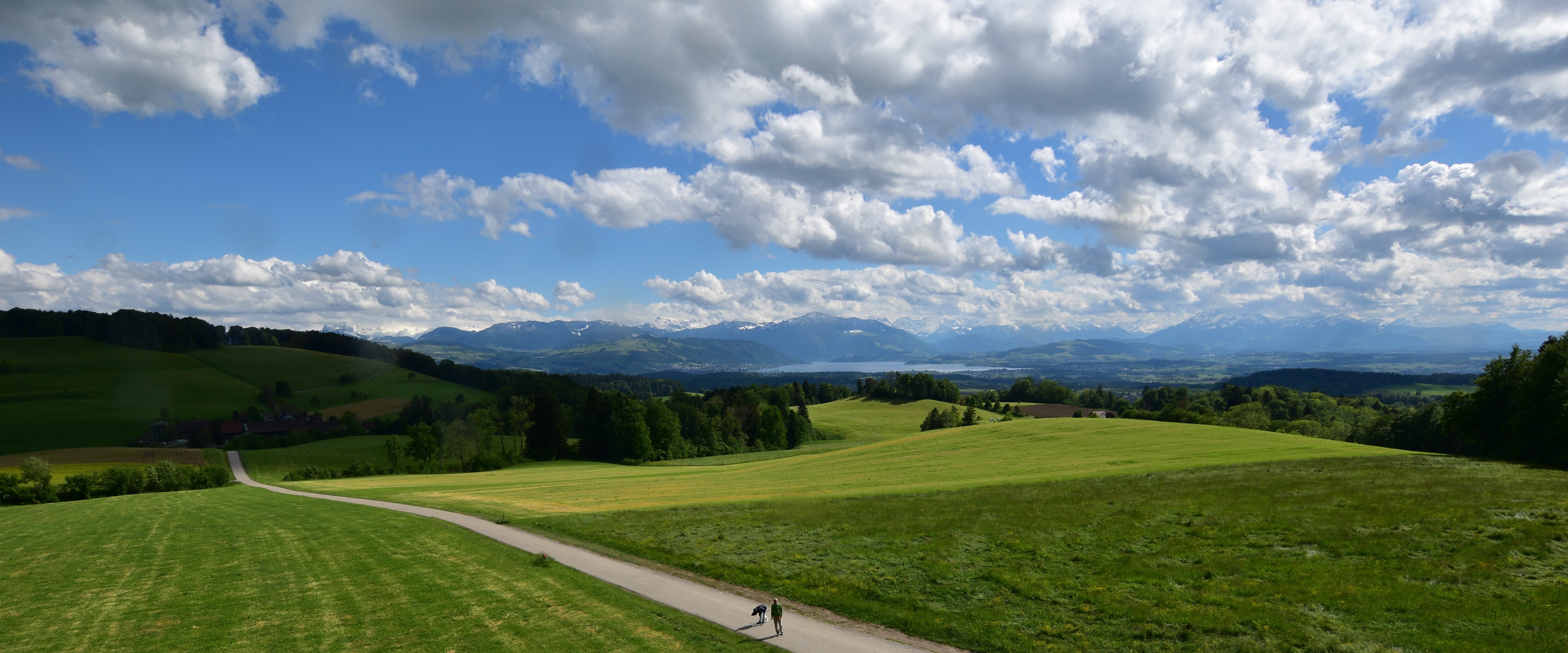 Langnau am Albis › Südwesten: Naturfreundeweg 8 - Rigi - Mount Pilatus - Eiger - Mönch - Jungfrau