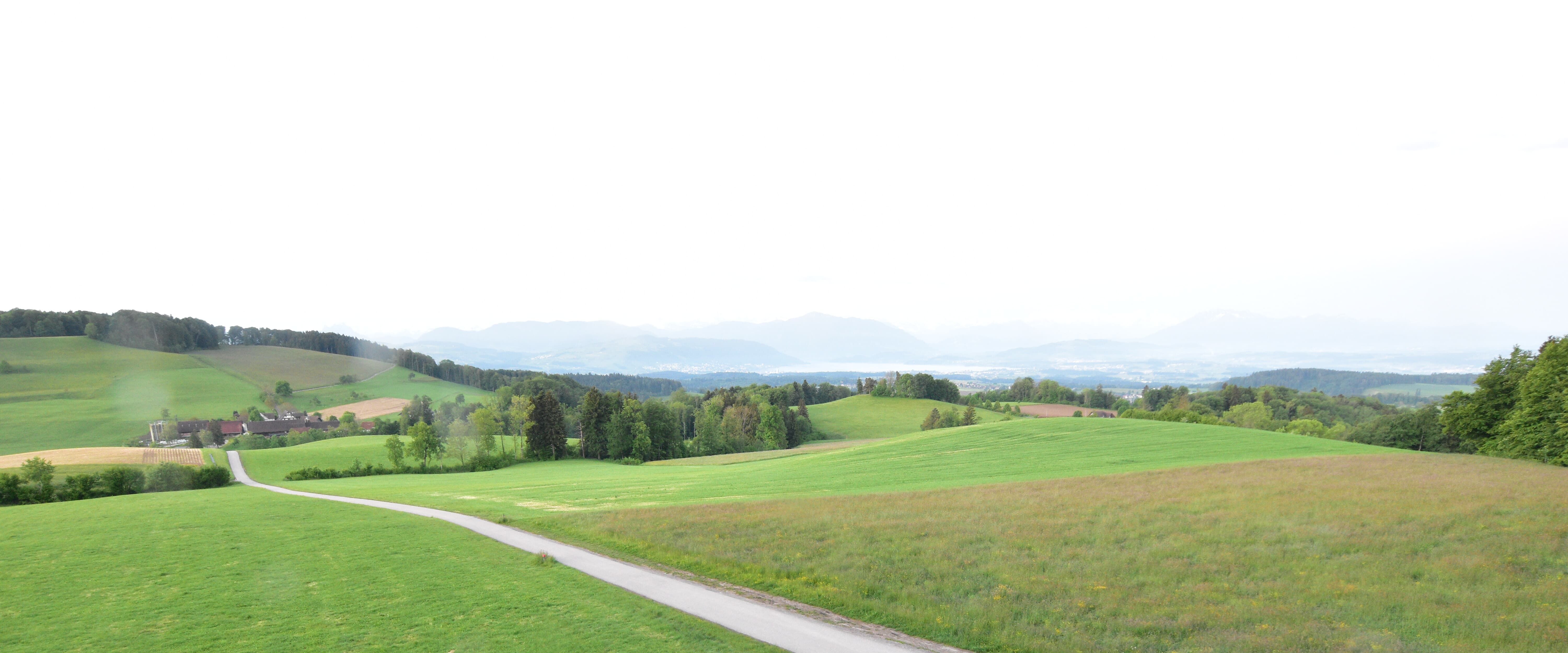 Langnau am Albis › Südwesten: Naturfreundeweg 8 - Rigi - Mount Pilatus - Eiger - Mönch - Jungfrau