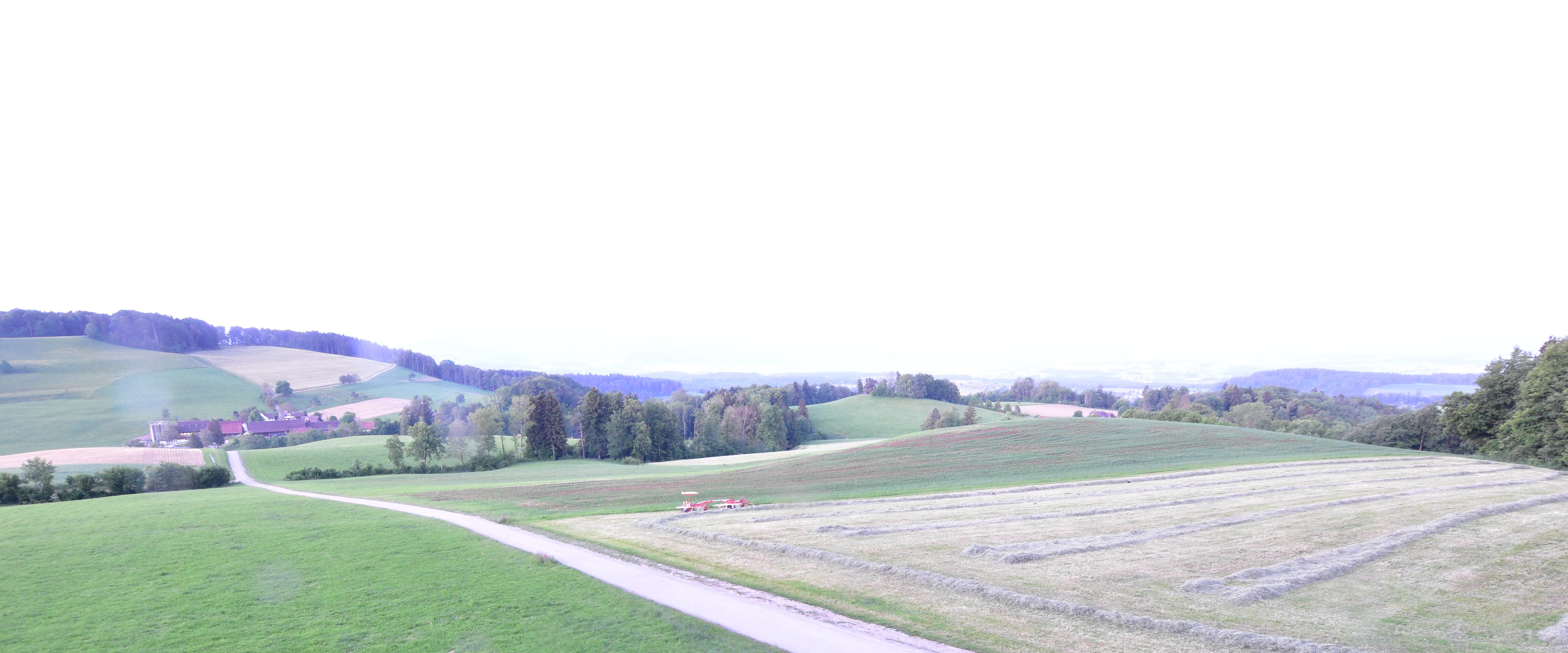 Langnau am Albis › Südwesten: Naturfreundeweg 8 - Rigi - Mount Pilatus - Eiger - Mönch - Jungfrau