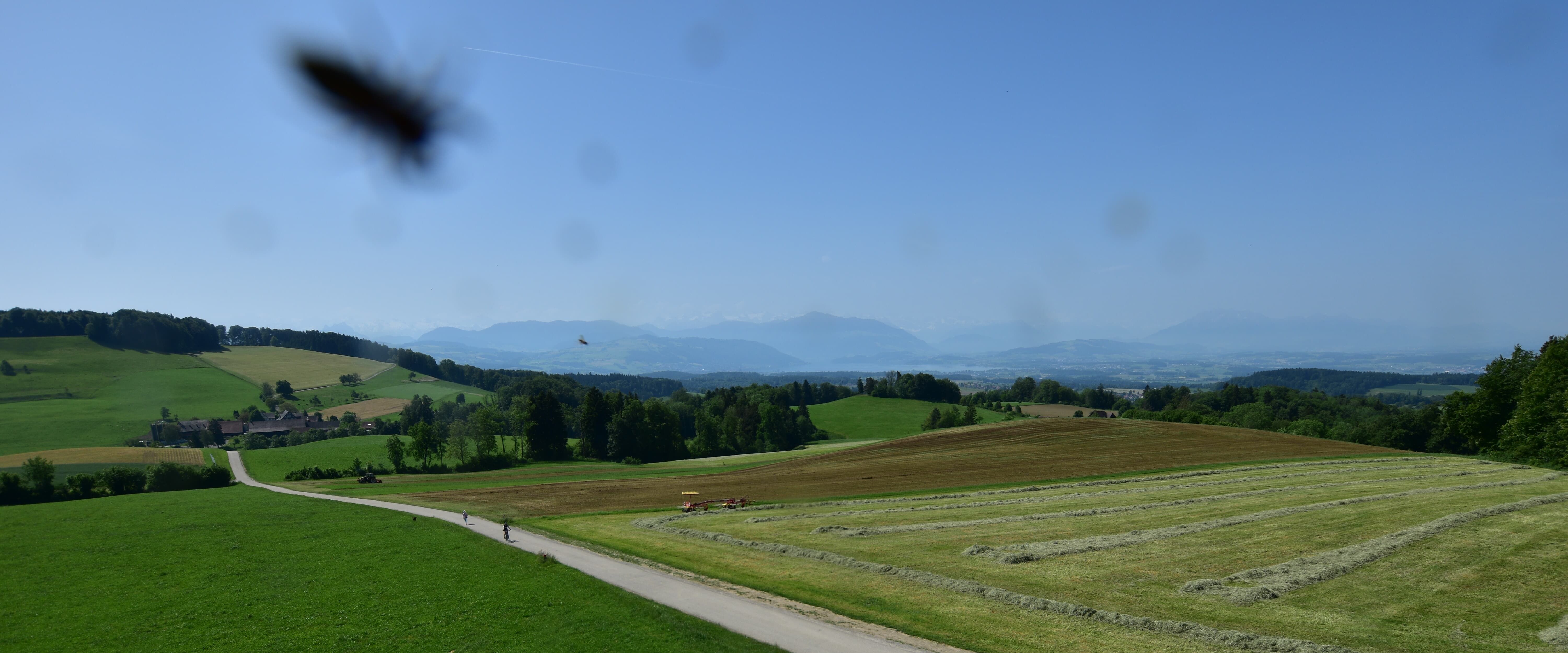 Langnau am Albis › Südwesten: Naturfreundeweg 8 - Rigi - Mount Pilatus - Eiger - Mönch - Jungfrau