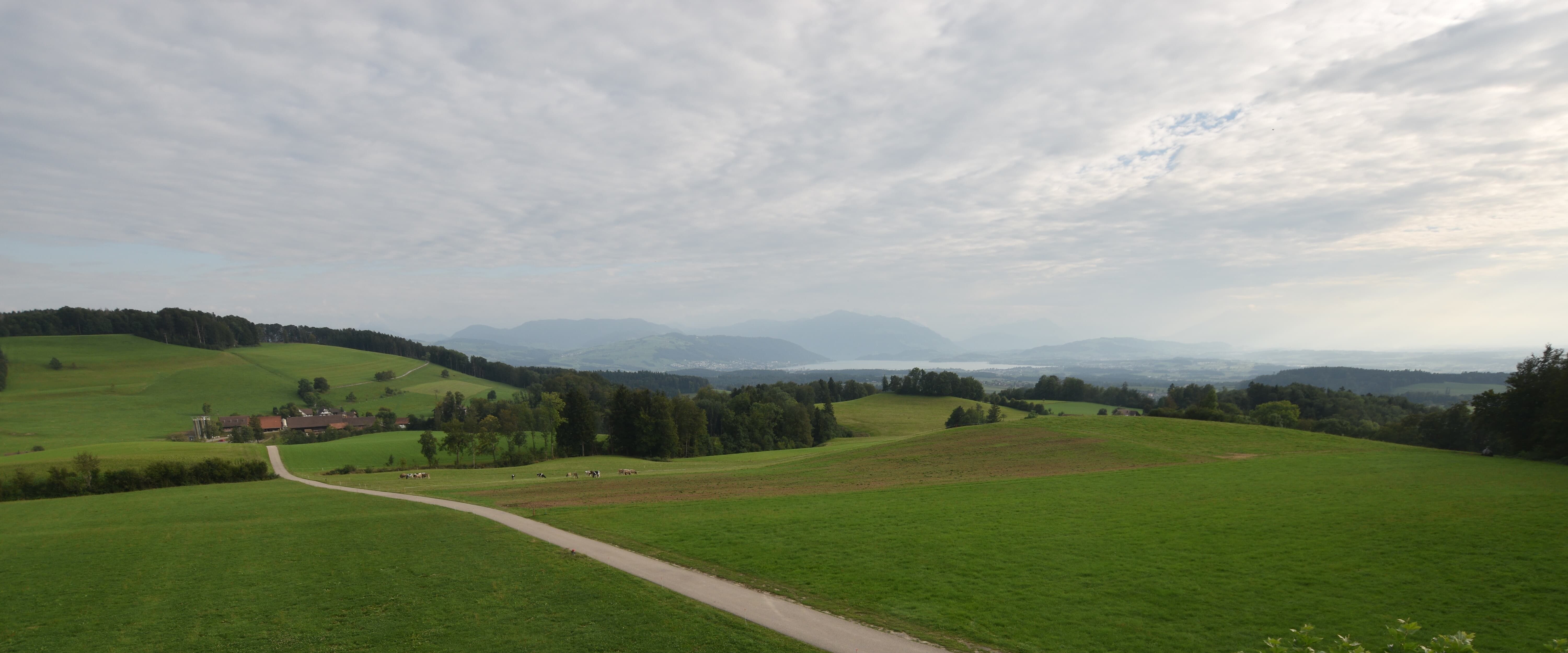 Langnau am Albis › Süd-West: Naturfreundeweg 8 - Rigi - Mount Pilatus - Eiger - Mönch - Jungfrau