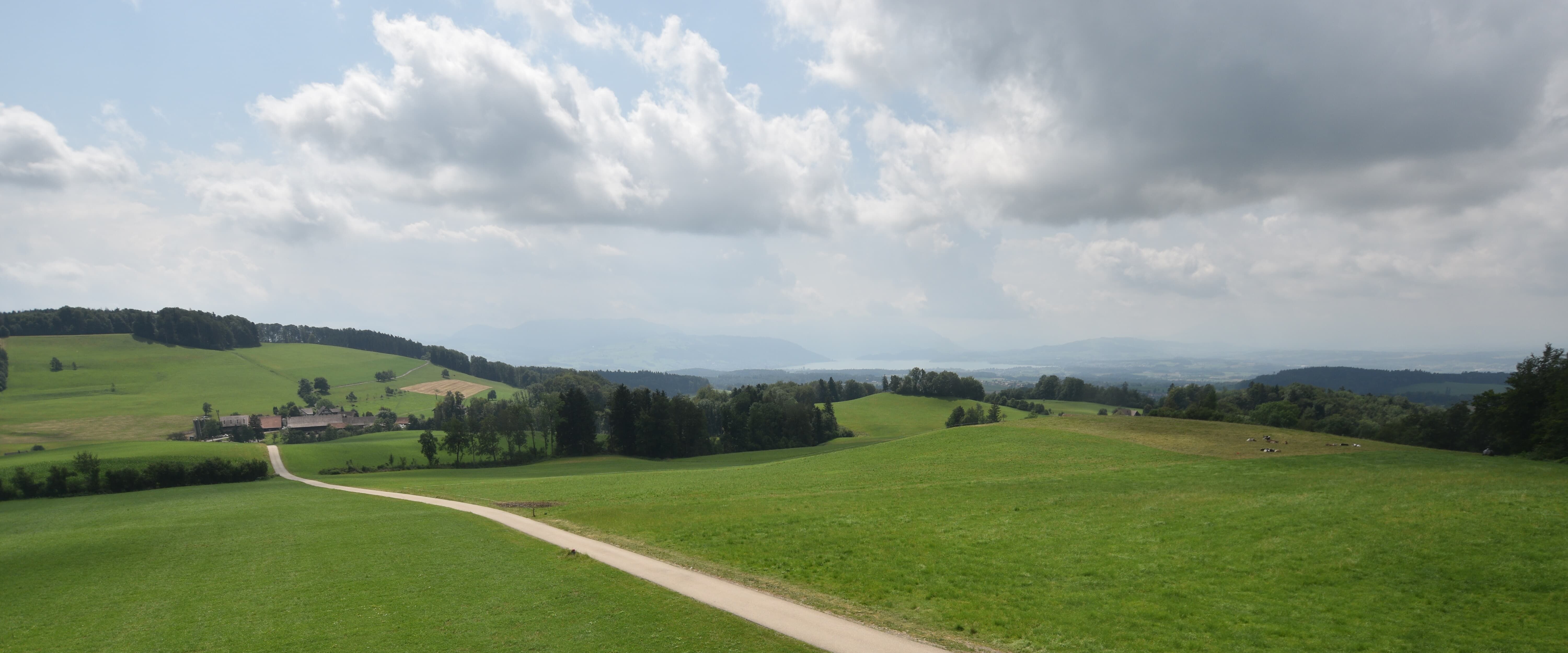 Langnau am Albis › Süd-West: Naturfreundeweg 8 - Rigi - Mount Pilatus - Eiger - Mönch - Jungfrau