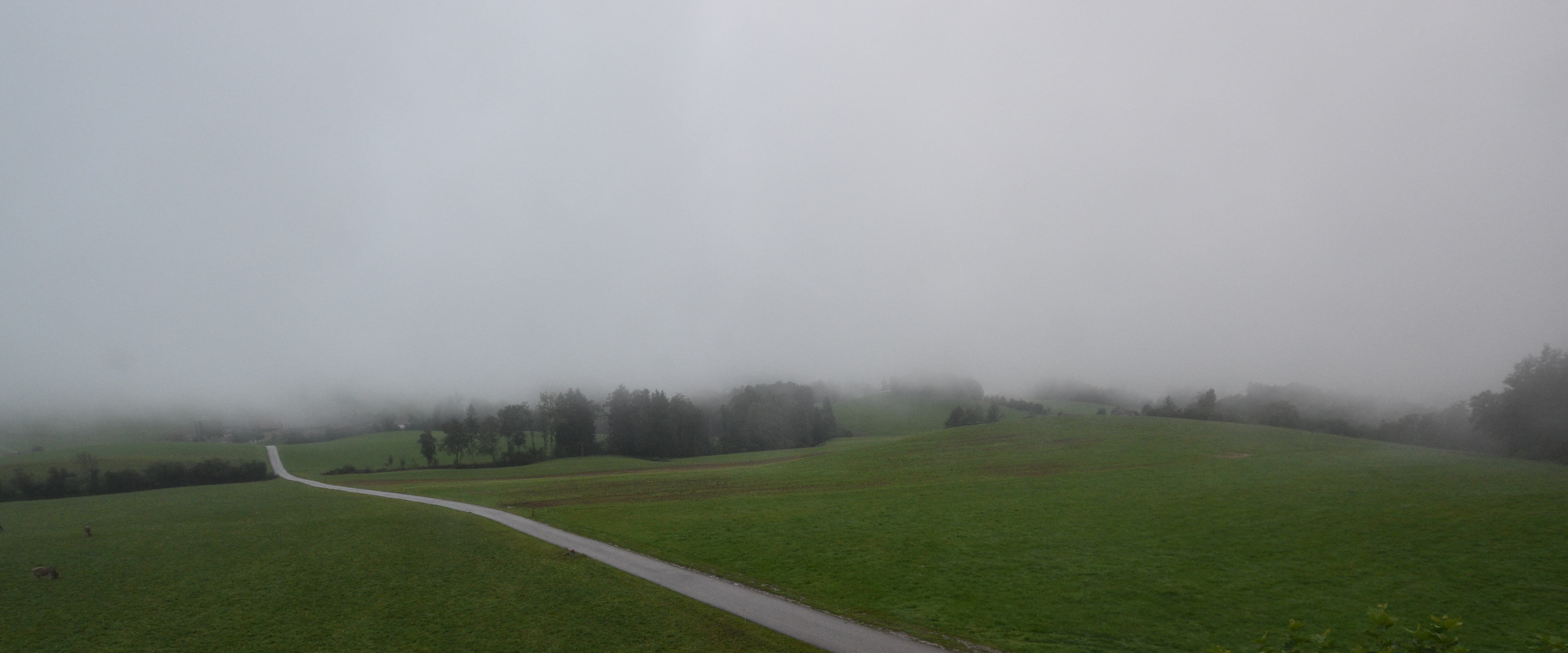 Langnau am Albis › Süd-West: Naturfreundeweg 8 - Rigi - Mount Pilatus - Eiger - Mönch - Jungfrau