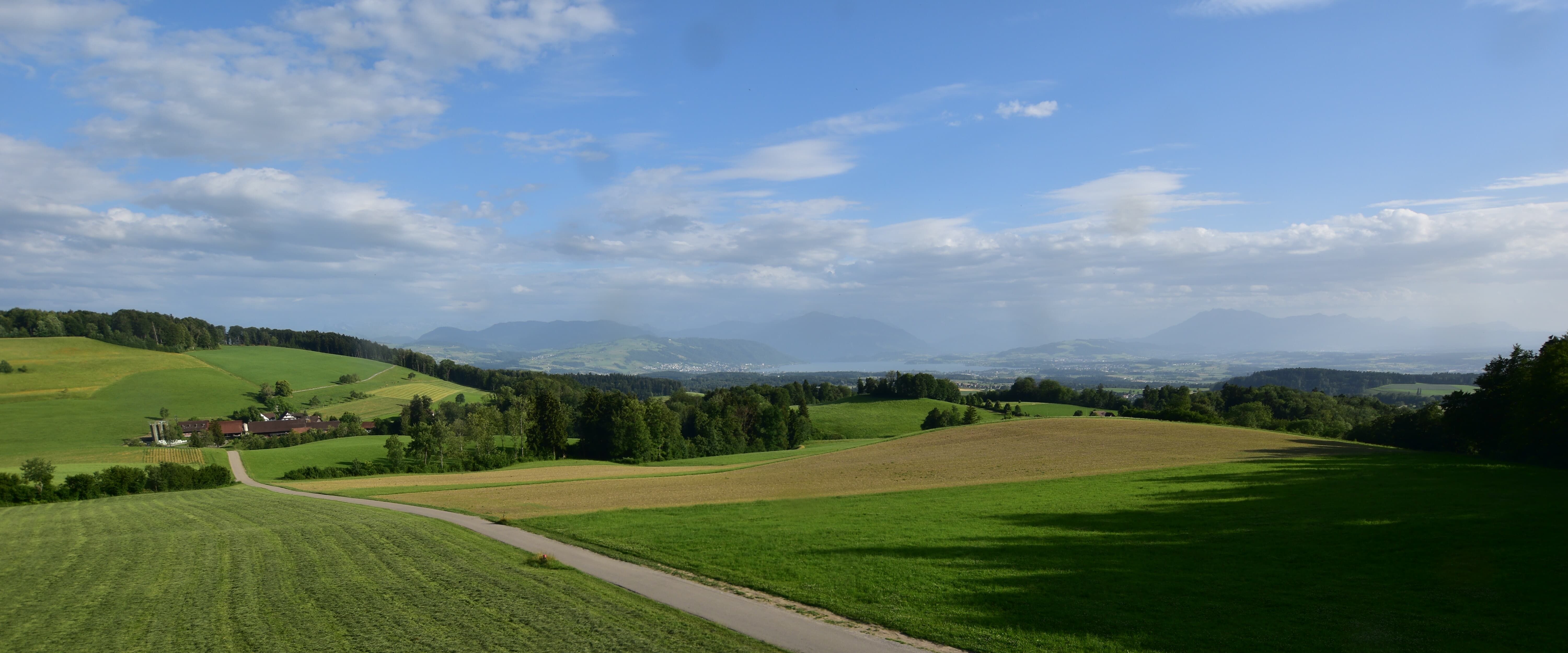 Langnau am Albis › Südwesten: Naturfreundeweg 8 - Rigi - Mount Pilatus - Eiger - Mönch - Jungfrau