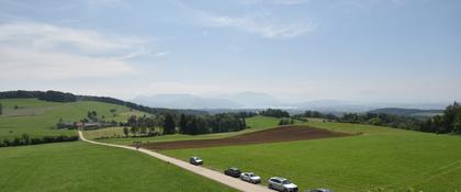 Langnau am Albis › Süd-West: Naturfreundeweg 8 - Rigi - Mount Pilatus - Eiger - Mönch - Jungfrau