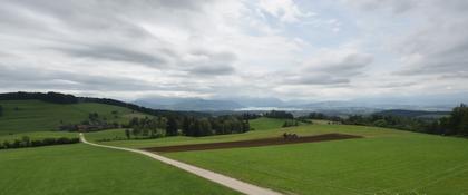 Langnau am Albis › Süd-West: Naturfreundeweg 8 - Rigi - Mount Pilatus - Eiger - Mönch - Jungfrau