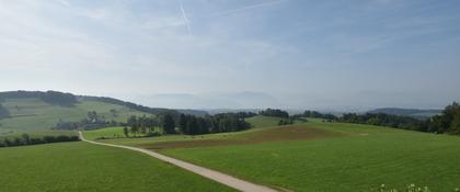 Langnau am Albis › Süd-West: Naturfreundeweg 8 - Rigi - Mount Pilatus - Eiger - Mönch - Jungfrau