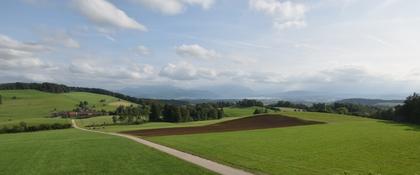 Langnau am Albis › Süd-West: Naturfreundeweg 8 - Rigi - Mount Pilatus - Eiger - Mönch - Jungfrau