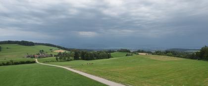 Langnau am Albis › Süd-West: Naturfreundeweg 8 - Rigi - Mount Pilatus - Eiger - Mönch - Jungfrau