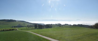 Langnau am Albis › Süd-West: Naturfreundeweg 8 - Rigi - Mount Pilatus - Eiger - Mönch - Jungfrau