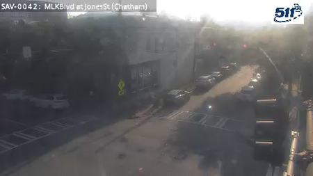 Savannah during daytime