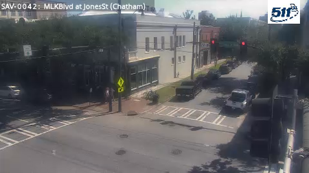 Savannah during daytime