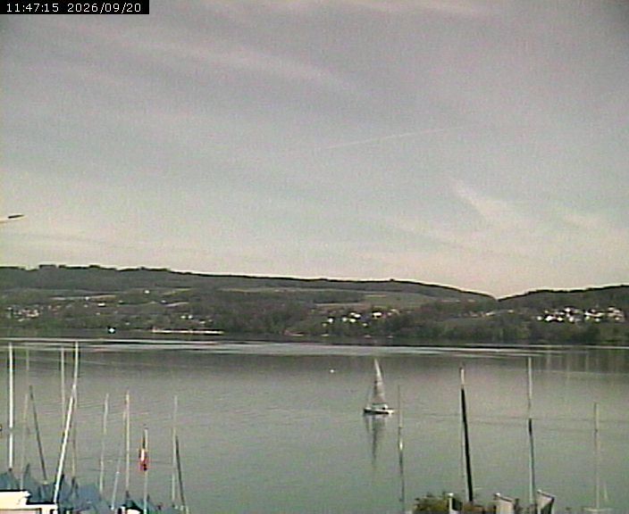Beinwil am See › Osten: Segelclub Hallwil - Lake Hallwil