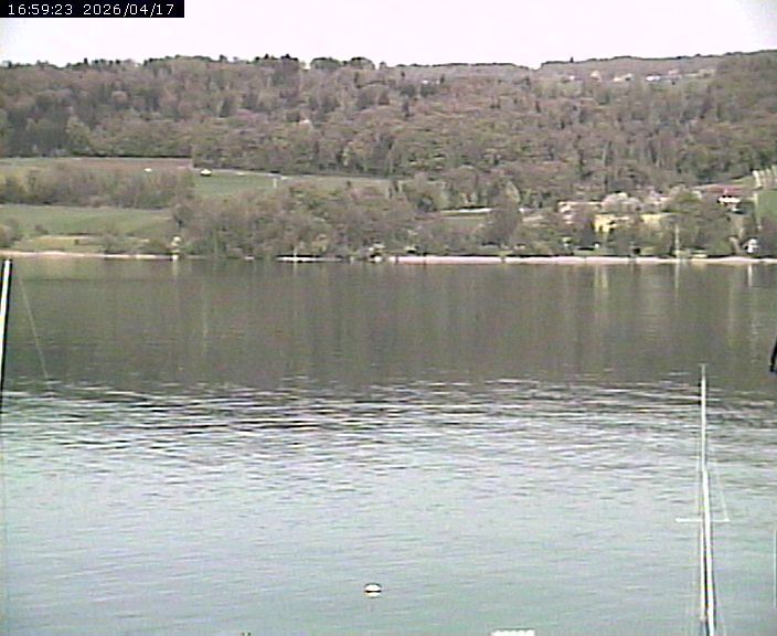Beinwil am See: Hallwilersee Ost 2
