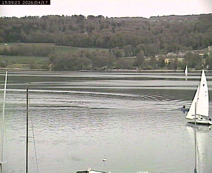 Beinwil am See: Hallwilersee Ost 2