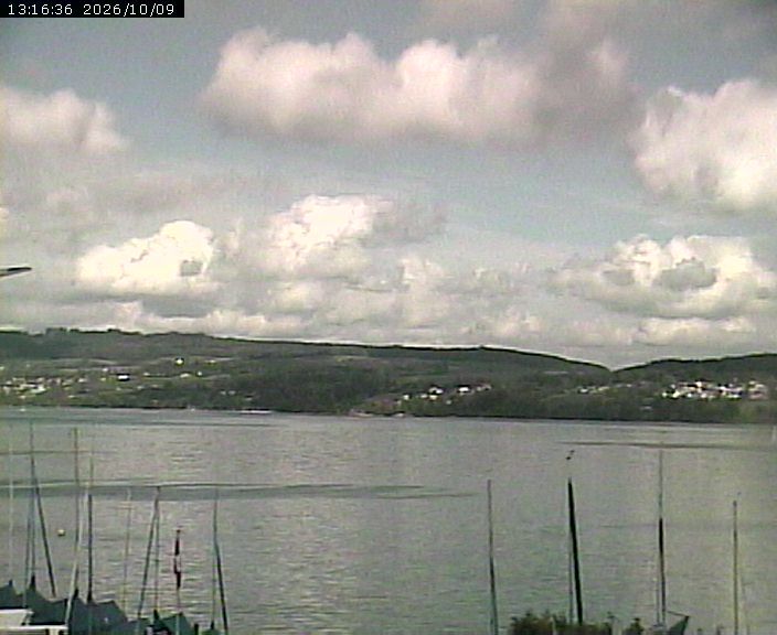 Beinwil am See › Osten: Segelclub Hallwil - Lake Hallwil