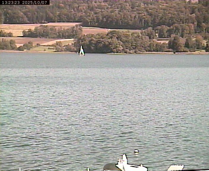 Beinwil am See: Hallwilersee Ost 2