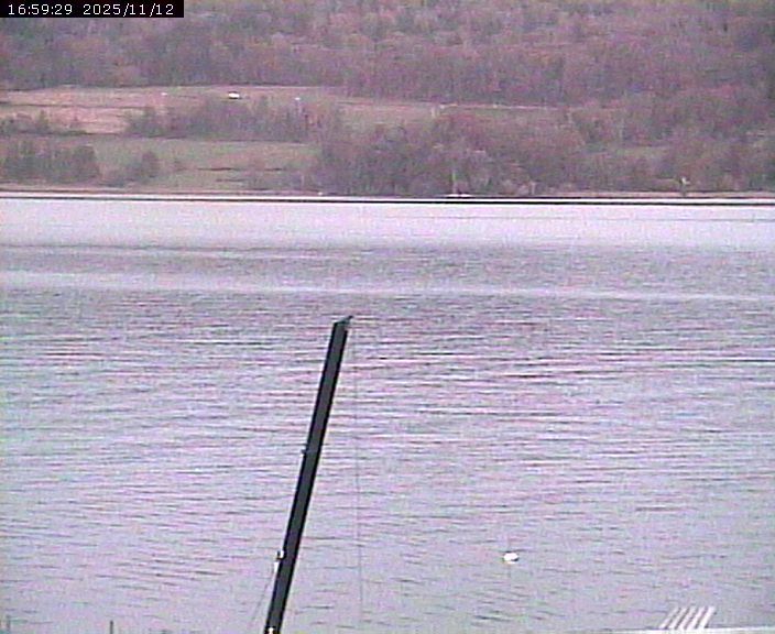 Beinwil am See: Hallwilersee Ost 2