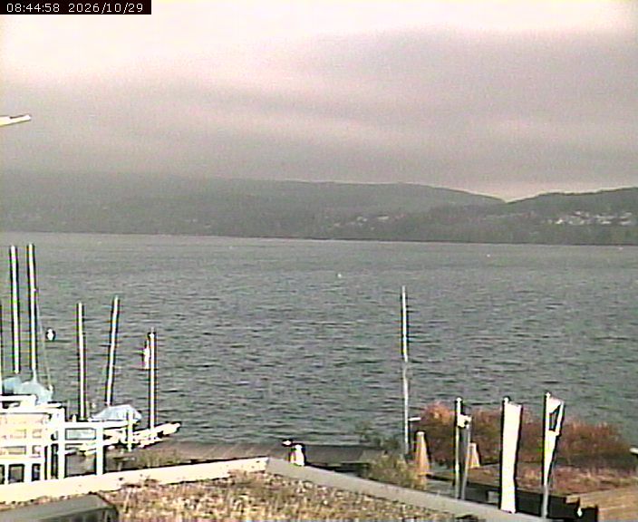 Beinwil am See › Osten: Segelclub Hallwil - Lake Hallwil