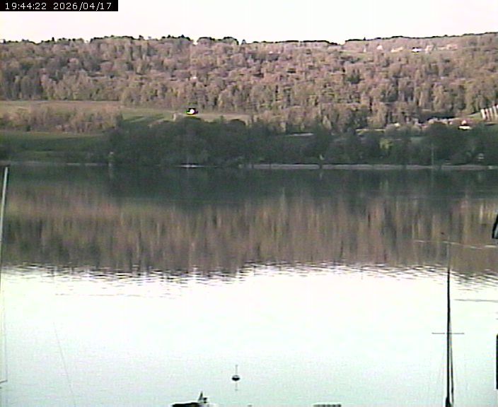 Beinwil am See: Hallwilersee Ost 2